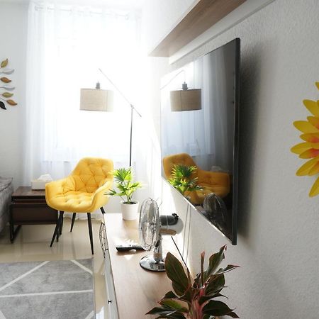Mein Apartment Flowers Mit Kamin, Bis 10 Personen Frankenthal  Exteriér fotografie